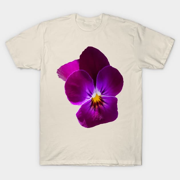 Purple Violet Flower Photo T-Shirt by ellenhenryart